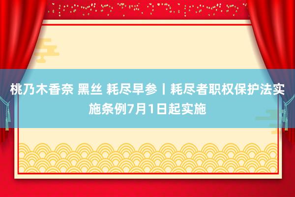 桃乃木香奈 黑丝 耗尽早参丨耗尽者职权保护法实施条例7月1日起实施